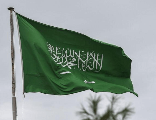 عرض اليوم الوطني