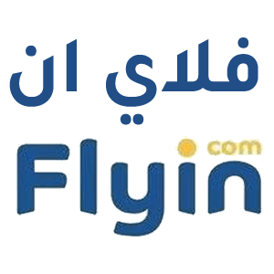 FLYIN logo png