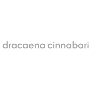 كود خصم دراسينا سيناباري كوبون Dracaena Cinnabari 2025